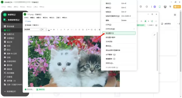 电脑版印象笔记怎么给图片进行标注_标注功能介绍