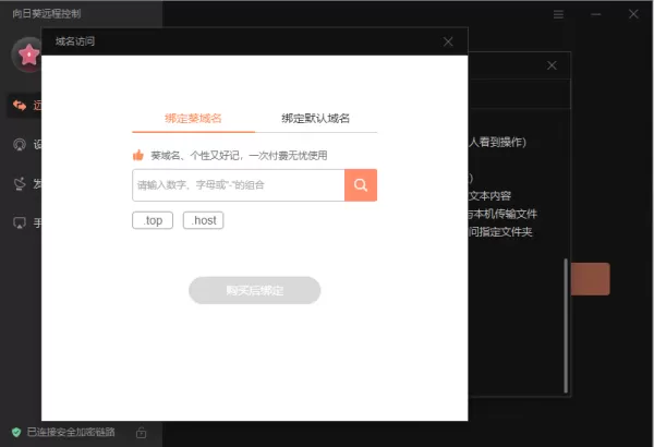 向日葵远程控制怎么设置域名访问_远程连接电脑有几种方式
