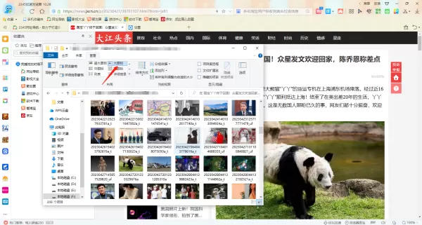 2345加速浏览器怎么快速保存图片_快速保存图片教程