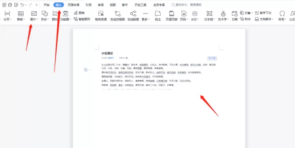 WPS怎么把图片中的文字提取出来_图片文字转换方法一览