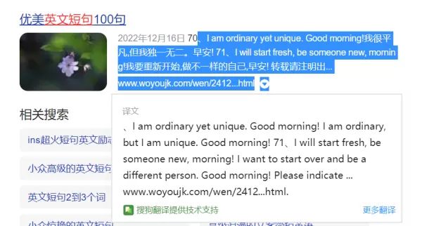 哪款电脑浏览器支持划词翻译_划词翻译只需轻轻框选即可实现