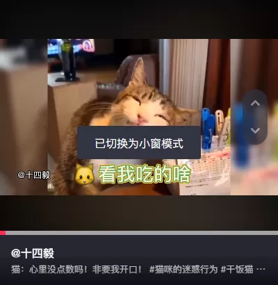 抖音电脑版如何设置青少年模式_抖音怎样调为小窗模式