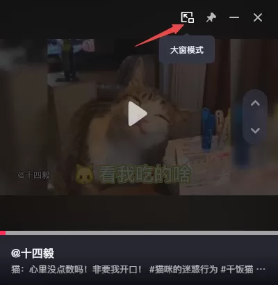 抖音电脑版如何设置青少年模式_抖音怎样调为小窗模式
