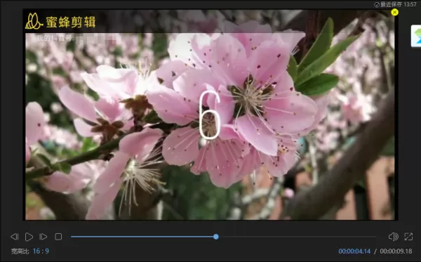 3种使用PC蜜蜂剪辑在视频里添加图片的技巧详解