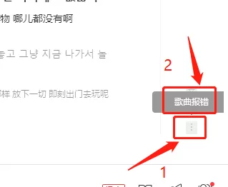 网易云未知错误要怎么处理_网易云歌词报错在哪里
