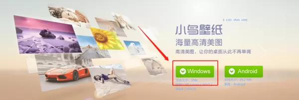 360小鸟壁纸下载方式_360小鸟壁纸功能解析