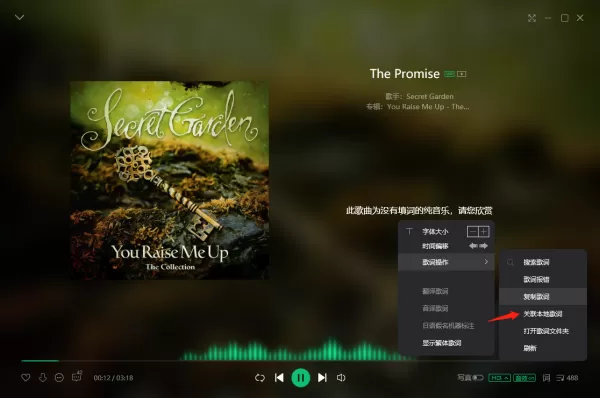 电脑版qq音乐歌词上传在哪里_歌词下载方法解析