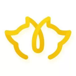 狐友的详细玩法介绍