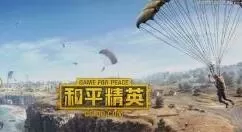 和平精英服饰币的作用分享