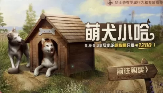 《明日之后》中萌犬小哈的详情介绍