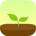 forest设置时间的具体操作步骤