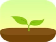 forest更换树种的详细操作流程