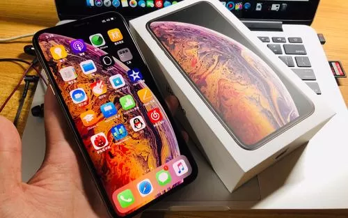 iPhoneXs Max中将多任务管理打开的具体操作方法