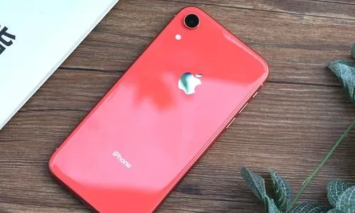 iphonexr中搜索照片的具体操作方法