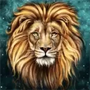 金狮子直播app中开直播的具体操作流程