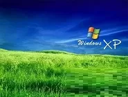 winxp系统中语言栏图标消失的具体处理步骤