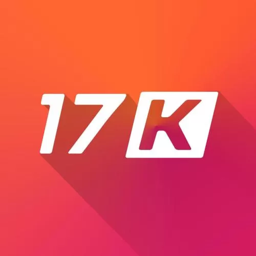 17k小说app的详情功能介绍
