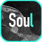 soul中弄共享音频的具体操作方法