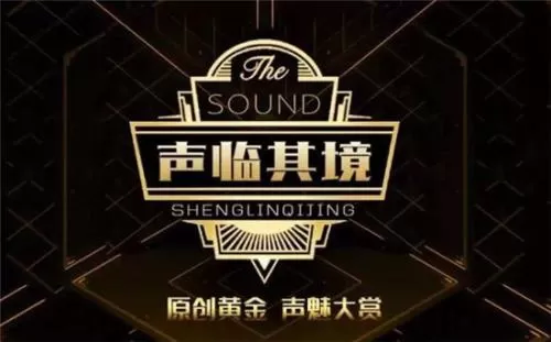 声临其境中投票的具体操作方法