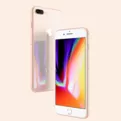 iphone8将小圆点关掉的操作流程