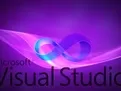 visualstudio中使用query进行过滤筛选的具体操作步骤