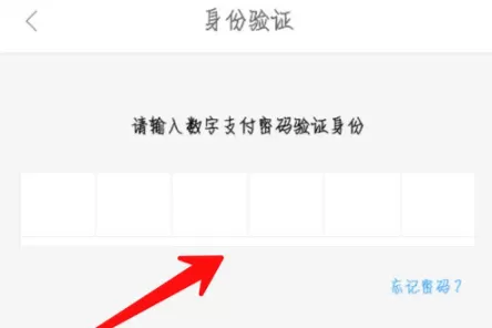 京东金融APP打开免密支付的操作流程