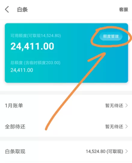 京东金融APP调整白条固定额度的操作过程