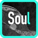 soul中连麦聊天的具体操作方法介绍