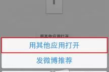 新浪微盘APP查看文件的简单操作