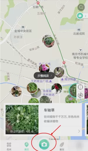 形色APP识别花名的操作流程