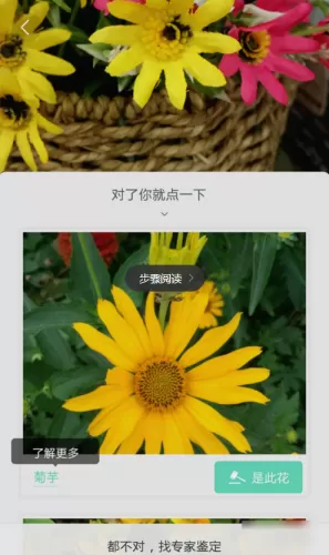 形色APP识别花名的操作流程