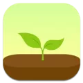 forest的具体使用流程讲述