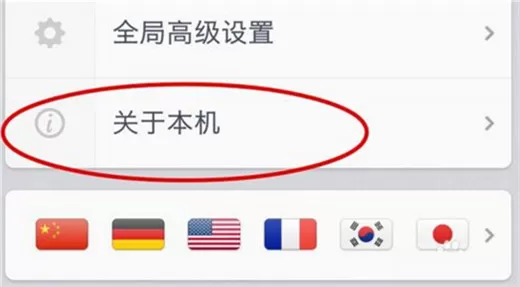 坚果pro2s中设置开发者选项的详细操作流程