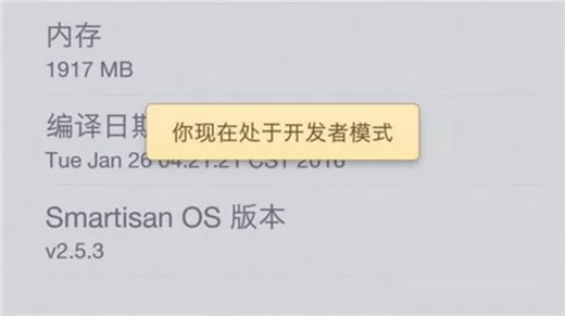 坚果pro2s中设置开发者选项的详细操作流程