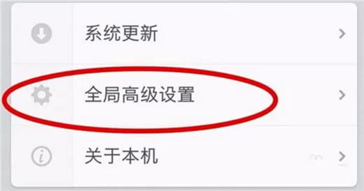 坚果pro2s中设置开发者选项的详细操作流程