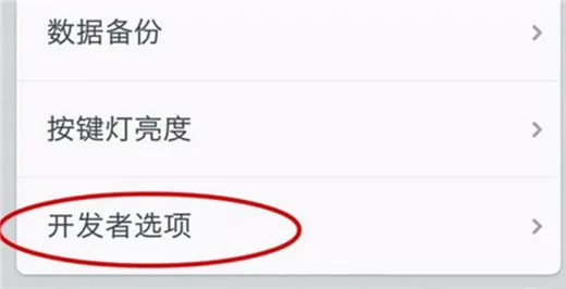 坚果pro2s中设置开发者选项的详细操作流程