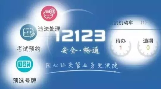 交管12123中查看违章照片的具体操作流程介绍