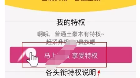 喵喵直播APP中办理会员的详细操作流程。