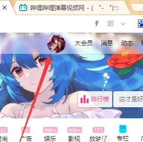 bilibili头像佩戴挂件的图文操作