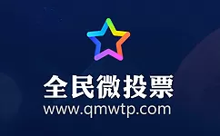 全民投票的详细使用流程讲述