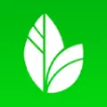 优健康APP中查询个人体检报告的具体操作流程