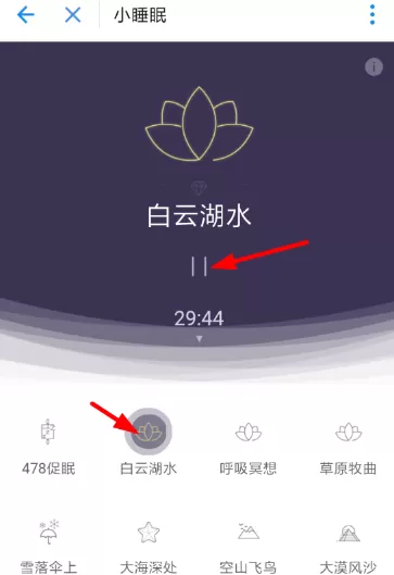 支付宝中玩小睡眠程序的操作流程介绍