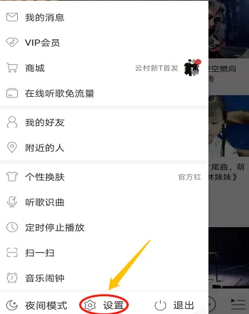 网易云音乐设置同时显示中英文歌词的详细操作