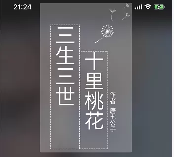 美图秀秀打造出小说封面的具体操作步骤介绍