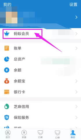 在支付宝里将蚂蚁积分捐出去的具体操作