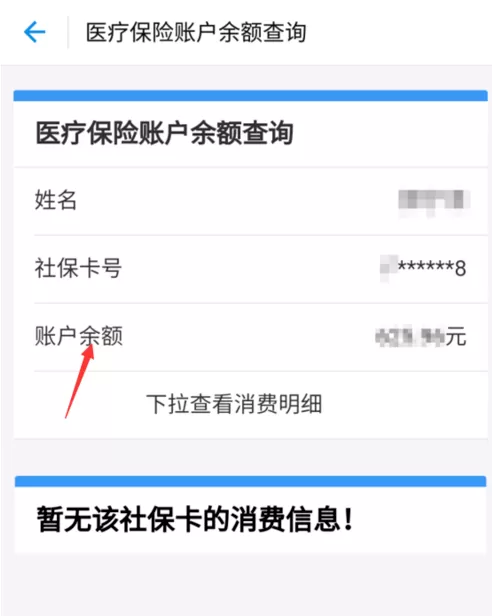 支付宝APP中查询社保卡余额的具体操作流程