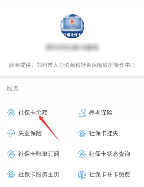 支付宝APP中查询社保卡余额的具体操作流程