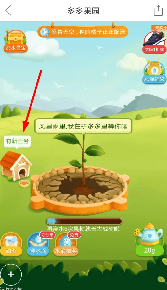 拼多多果园养狗的具体操作流程介绍