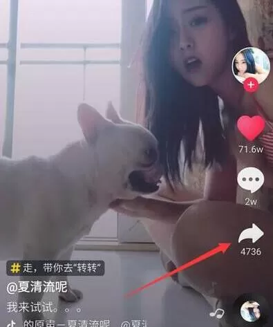荣耀8xmax设置抖音动态壁纸的具体操作流程