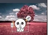 连我相机的详细使用步骤讲述